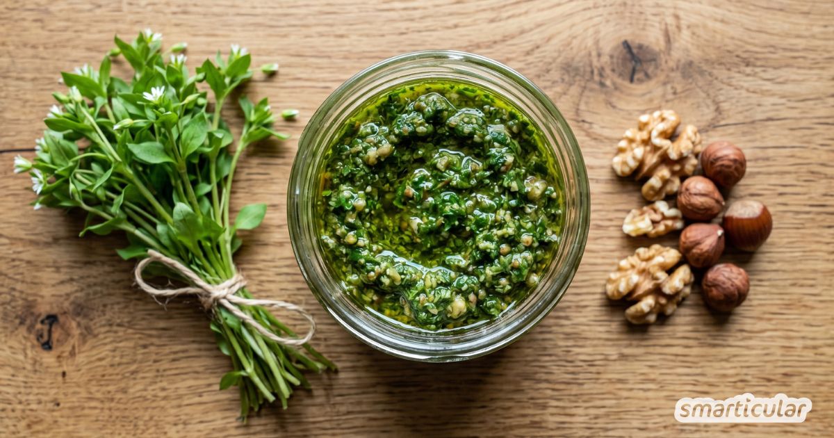 Gesundes Vogelmiere-Pesto: So zauberst du aus dem vitalstoffreichen Wildkraut ein schnelles, regionales Pesto für Pasta und Aufstriche.