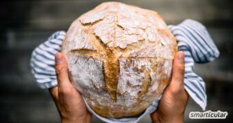Wie lässt sich Brot aufbewahren, damit es weder austrocknet noch schimmelt? Entdecke die besten Methoden mit ihren Vor- und Nachteilen.