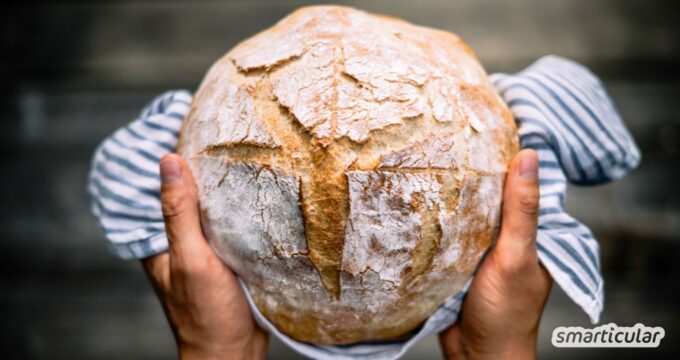 Wie lässt sich Brot aufbewahren, damit es weder austrocknet noch schimmelt? Entdecke die besten Methoden mit ihren Vor- und Nachteilen.