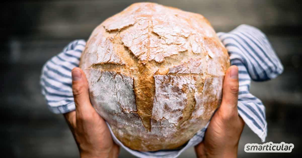 Wie lässt sich Brot aufbewahren, damit es weder austrocknet noch schimmelt? Entdecke die besten Methoden mit ihren Vor- und Nachteilen.