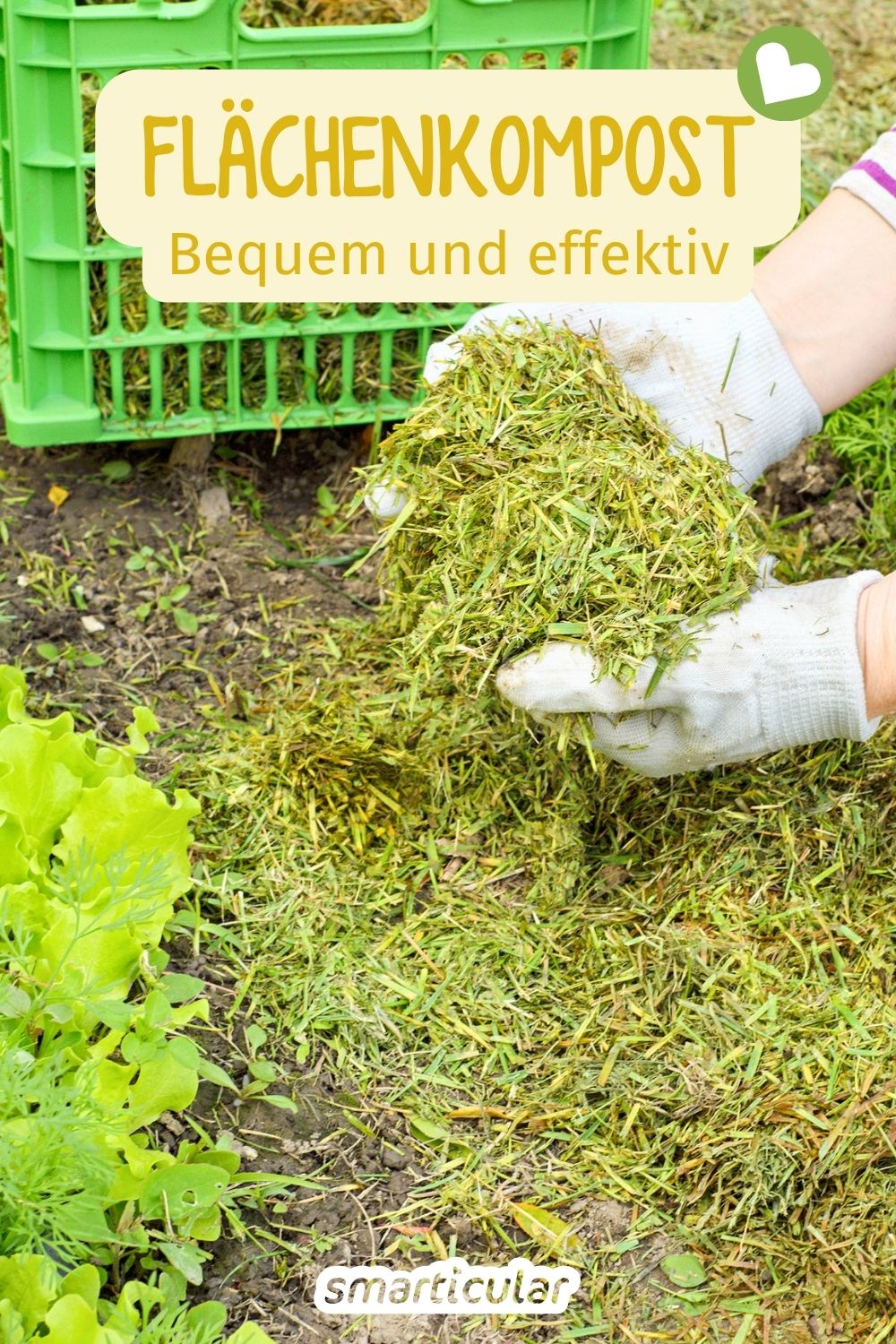 Flächenkompostierung leicht gemacht: Erfahre, wie du Beete direkt mit Bio-Abfällen düngst. Spare Zeit, baue Humus auf und schütze den Boden!