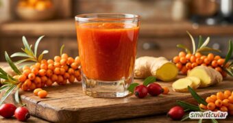 Immun-Booster selbst gemacht: Entdecke das Rezept für einen Hagebutten-Ingwer-Shot - mit Tipps zu Dosierung, Haltbarkeit und Variationen.