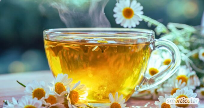 Kamillentee selber machen: Erfahre, wie die richtige Zubereitung gelingt und warum das Hausmittel so gesund ist.