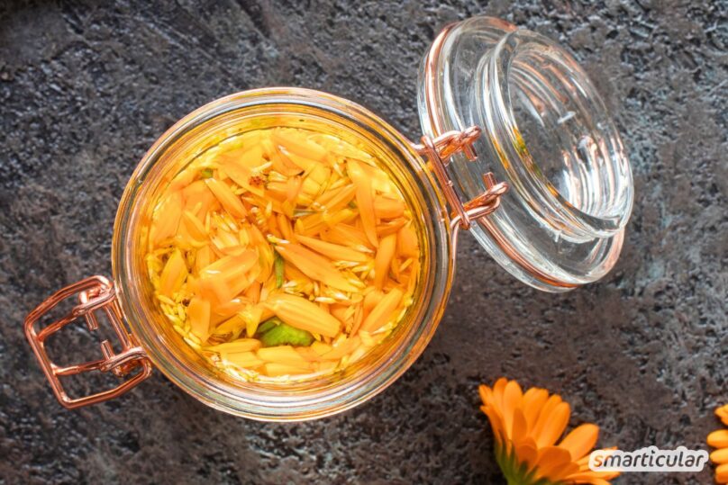 Ringelblumen und Alkohol im Glas