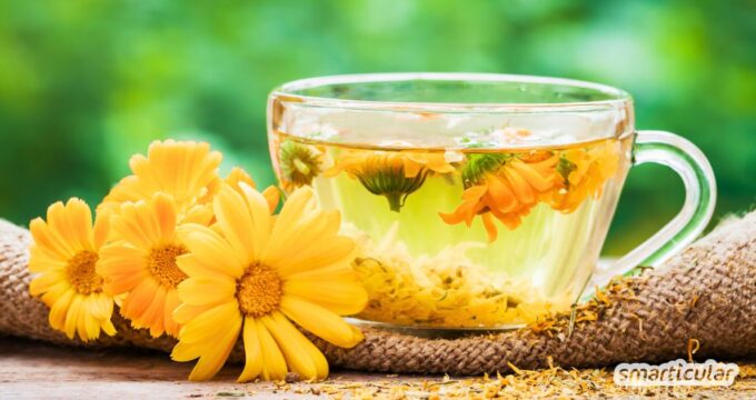 Ringelblumentee lässt sich einfach selbst zubereiten und wird traditionell bei Verdauungsbeschwerden, Regelschmerzen und Hautproblemen genutzt.