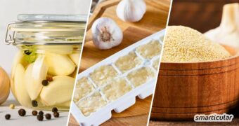 Knoblauch haltbar machen leicht gemacht: Vom Einfrieren über das DIY-Knoblauchpulver bis zur Fermentation. Entdecke die besten Methoden!