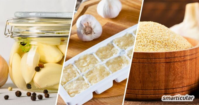 Knoblauch haltbar machen leicht gemacht: Vom Einfrieren über das DIY-Knoblauchpulver bis zur Fermentation. Entdecke die besten Methoden!