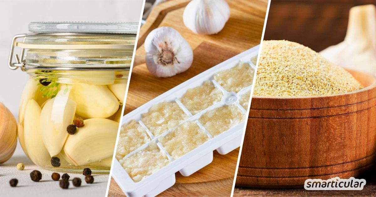 Knoblauch haltbar machen leicht gemacht: Vom Einfrieren über das DIY-Knoblauchpulver bis zur Fermentation. Entdecke die besten Methoden!