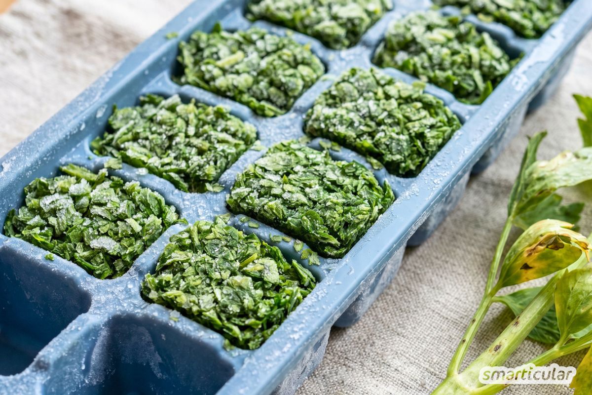 Zu viel Maggikraut im Garten? Entdecke 3 einfache Methoden, um Liebstöckel einzufrieren und sein würziges Aroma für den Winter zu bewahren.