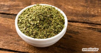 Liebstöckel trocknen und verwenden: So machst du das aromatische Maggikraut schonend haltbar. Mit einfacher Schritt-für-Schritt-Anleitung!