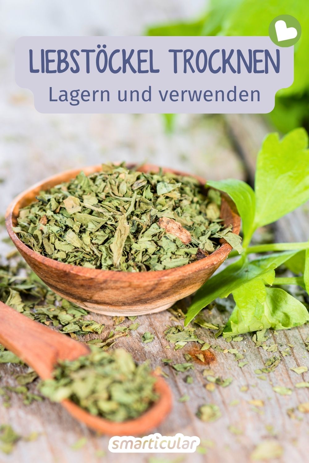 Liebstöckel trocknen und verwenden: So machst du das aromatische Maggikraut schonend haltbar. Mit einfacher Schritt-für-Schritt-Anleitung!