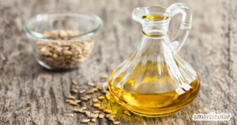 Alles über Sonnenblumenöl: Erfahre, ob es gesund ist, welches sich zum Braten eignet und wie du es für Hautpflege und DIY-Projekte nutzt!
