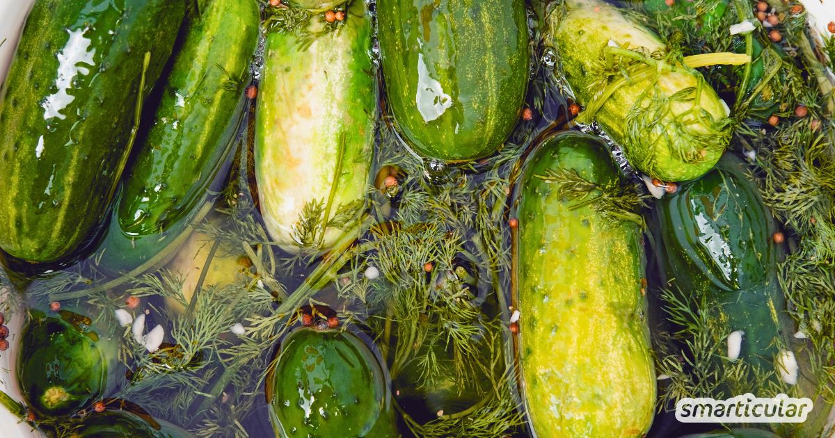 Knackige süß-saure Gurken ganz einfach selber einlegen! Mit diesem schnellen Rezept machst du deine Gurkenernte im Handumdrehen haltbar.