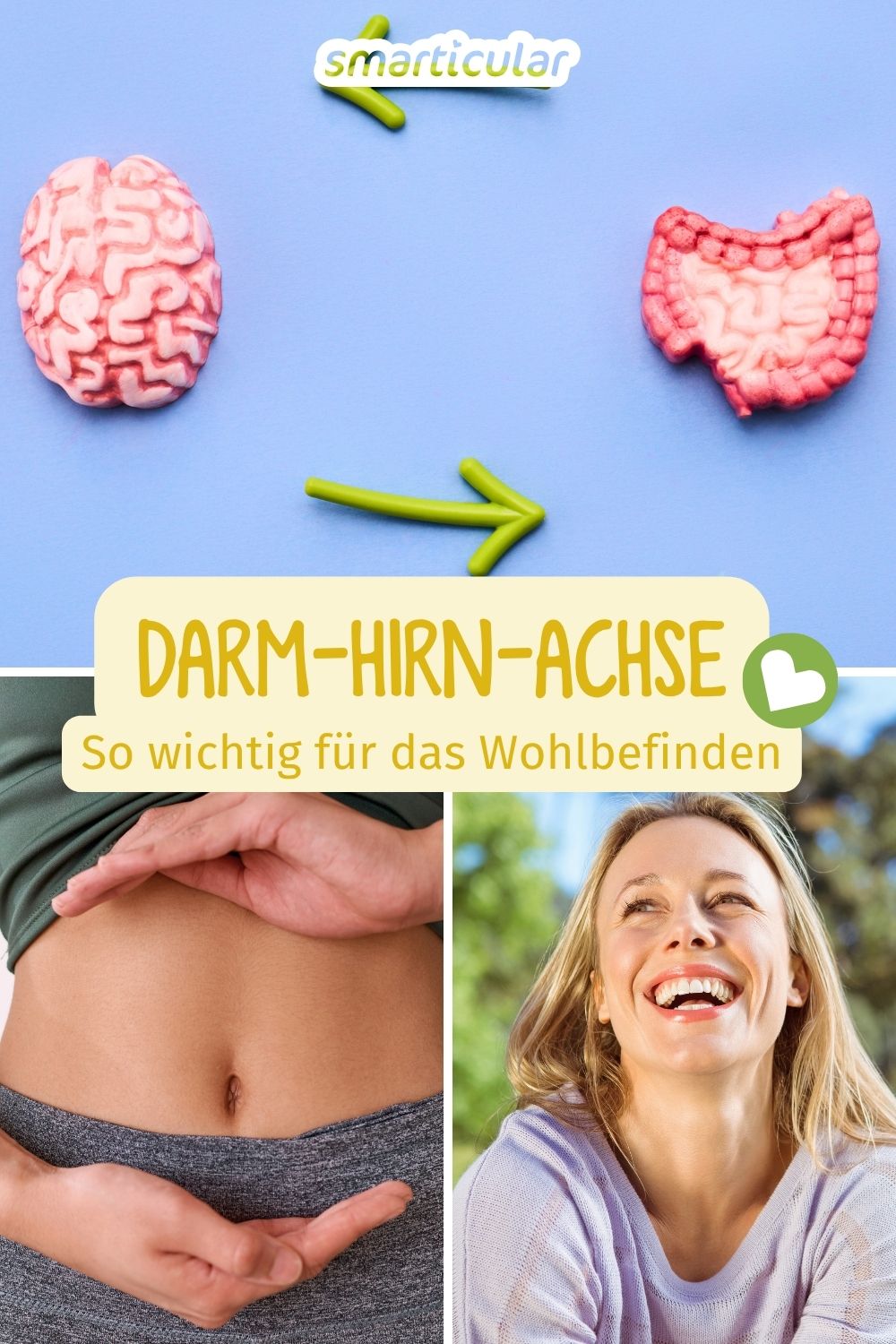 Die Darm-Hirn-Achse verbindet die Verdauung direkt mit der Psyche. Erfahre, wie du dein Mikrobiom stärkst und dein Wohlbefinden steigerst.