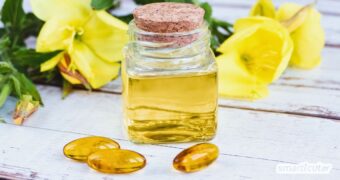Nachtkerzenöl ist ein bewährtes Naturheilmittel für Menschen und Tier. Bei welchen Beschwerden es wie angwendet wird, erfährst du hier.