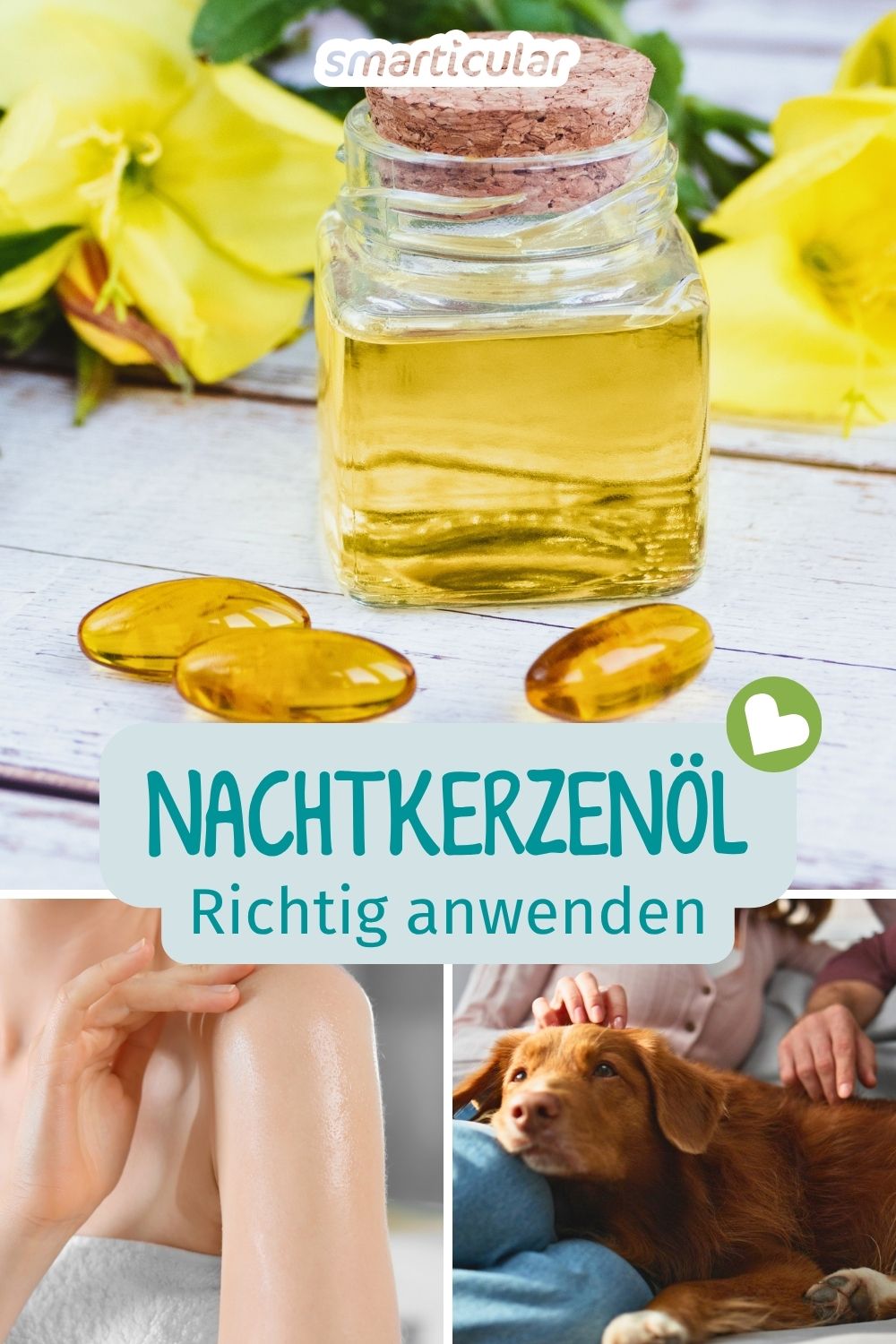Nachtkerzenöl ist ein bewährtes Naturheilmittel für Menschen und Tier. Bei welchen Beschwerden es wie angwendet wird, erfährst du hier.