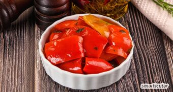 Erfahre, wie du Paprika einlegst und nachhaltig haltbarmachst, welche Gewürze am besten passen und typische Fehler vermeidest.
