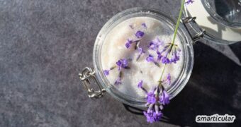 Lavendelzucker konserviert den Duft des Sommers und verfeinert Tee, Gebäck und Desserts. Einfach selbst gemacht und lange haltbar.