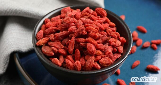 Entdecke die gesundheitliche Wirkung von Goji-Beeren, worauf du beim Kauf achten musst und welche heimischen Superfoods ebenso gesund sind.