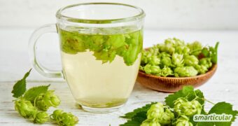 Selber sammeln statt kaufen: Nutze die entspannende Wirkung der Hopfendolden. So bereitest du deinen eigenen Hopfentee zu.