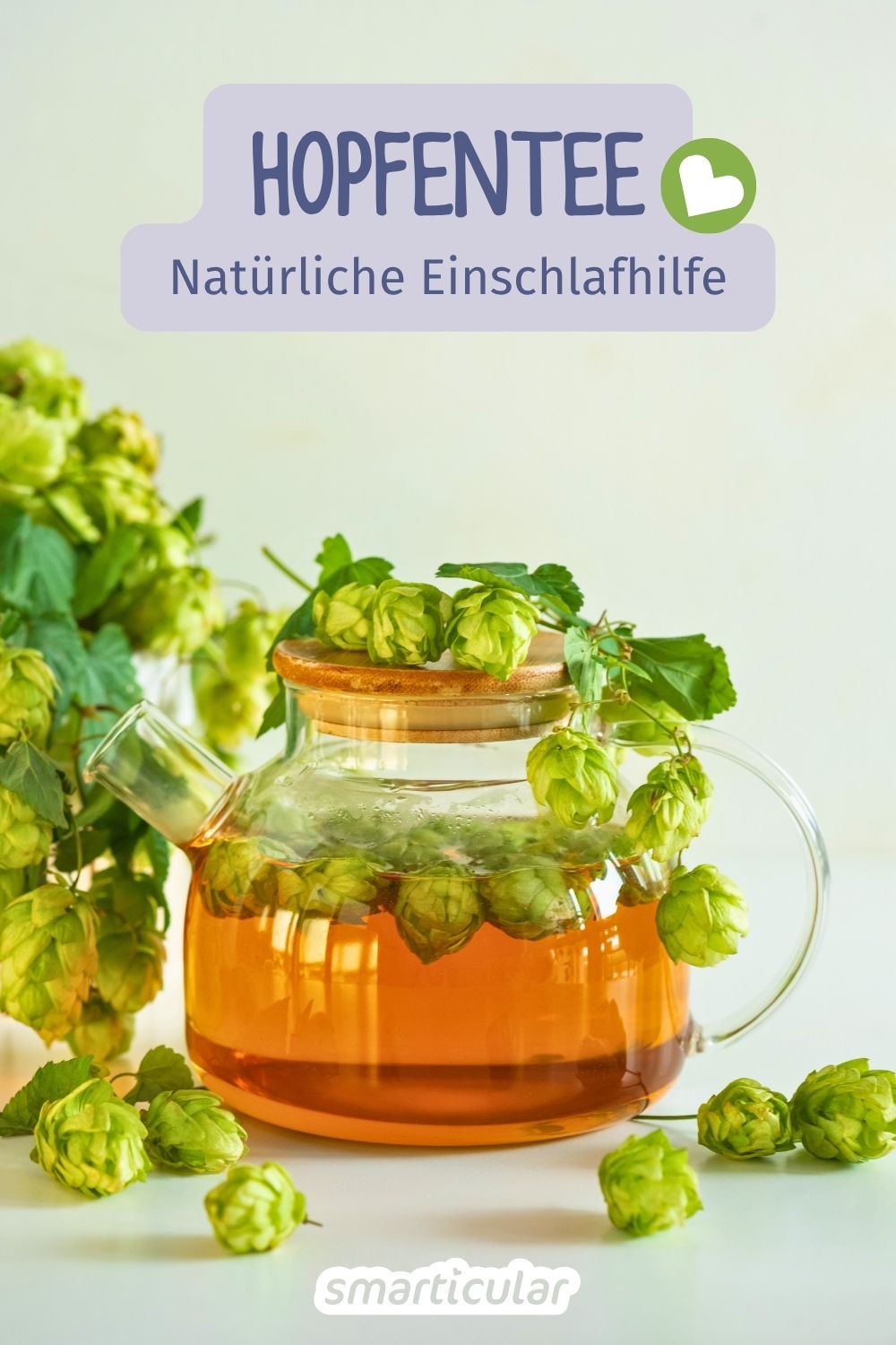 Selber sammeln statt kaufen: Nutze die entspannende Wirkung der Hopfendolden. So bereitest du deinen eigenen Hopfentee zu.