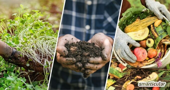 Du möchtest deinen Gartenboden verbessern? Entdecke einfache Methoden, wie du Humus aufbauen und die Bodenfruchtbarkeit steigern kannst.