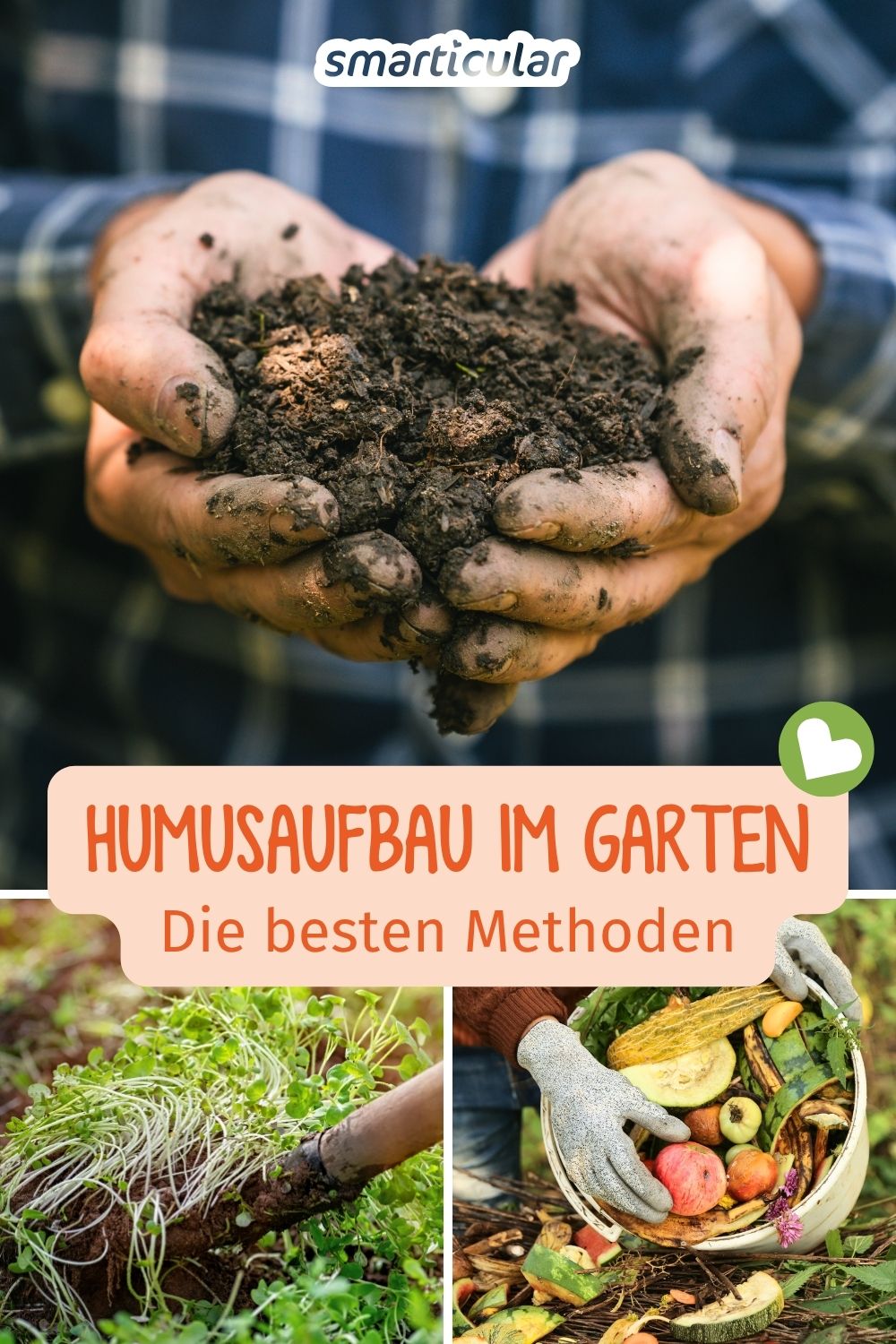 Du möchtest deinen Gartenboden verbessern? Entdecke einfache Methoden, wie du Humus aufbauen und die Bodenfruchtbarkeit steigern kannst.
