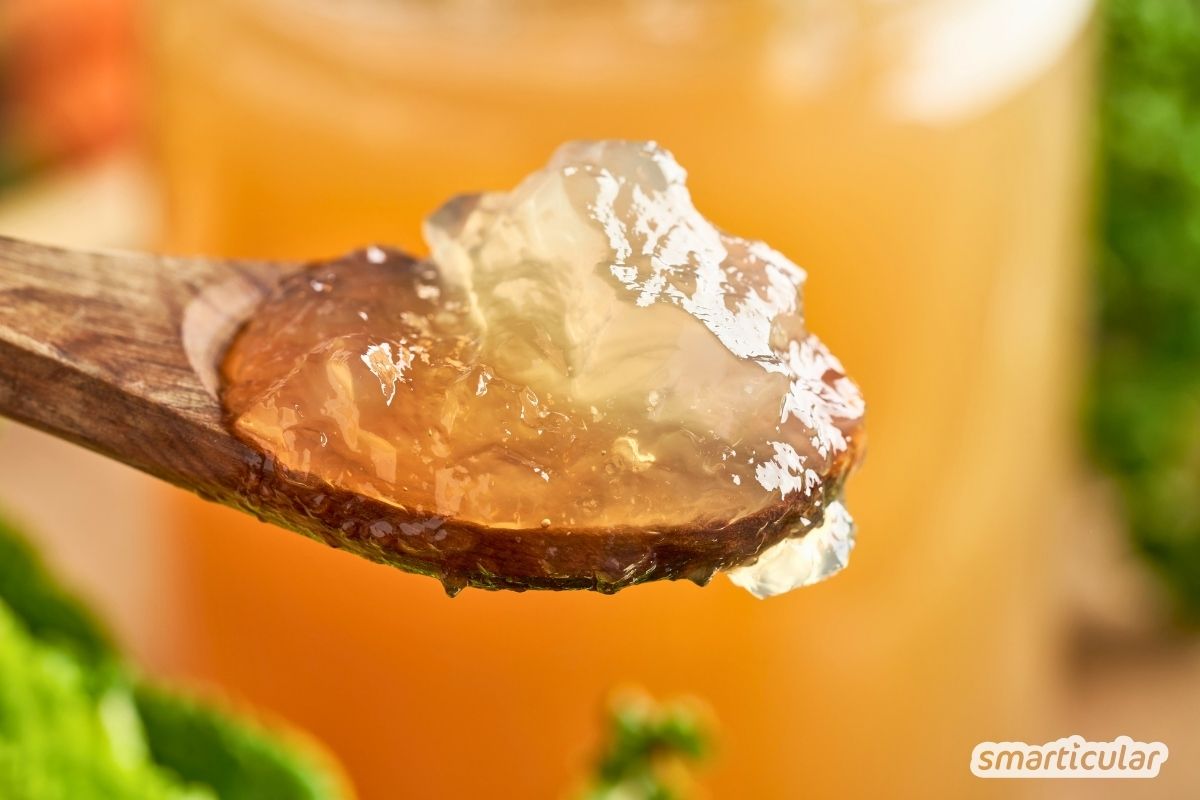 Knochenbrühe selber machen spart Geld und Müll. Entdecke das einfache Rezept, gesundheitliche Vorteile und Tipps zur optimalen Lagerung.