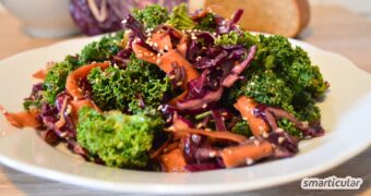 Lust auf eine Extraportion Vitamine? Dieser Kohlsalat mit Rotkohl und Grünkohl ist gesund, lässt sich wunderbar lagern und hält dich fit.