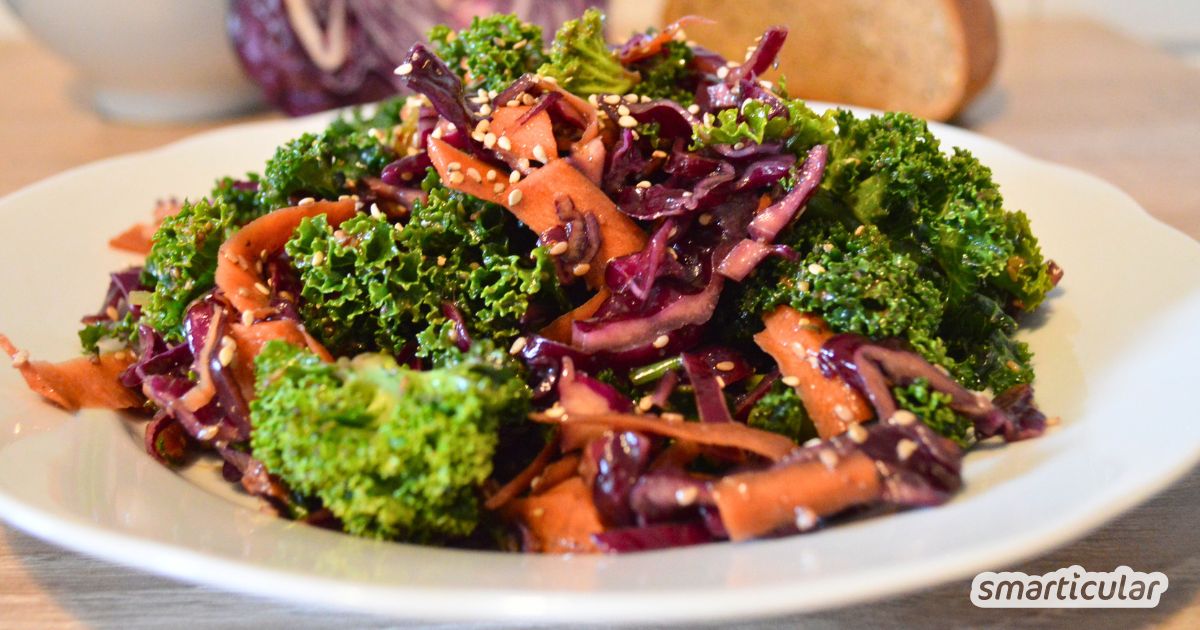Lust auf eine Extraportion Vitamine? Dieser Kohlsalat mit Rotkohl und Grünkohl ist gesund, lässt sich wunderbar lagern und hält dich fit.