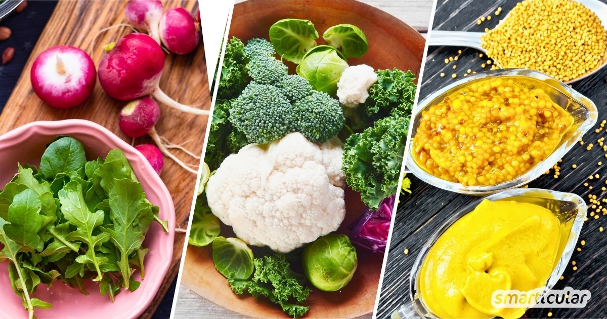 Entdecke die besten Kreuzblütler-Gemüse, erfahre, wie nährstoffreich sie sind und warum ein regelmäßiger Verzehr gesund hält - inkl. Rezepte