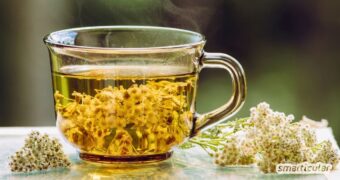 Schafgarbentee ist ein vielseitiges Naturheilmittel. Erfahre, bei welchen Beschwerden der Heiltee hilft und wie du ihn selbst aufbrühst.