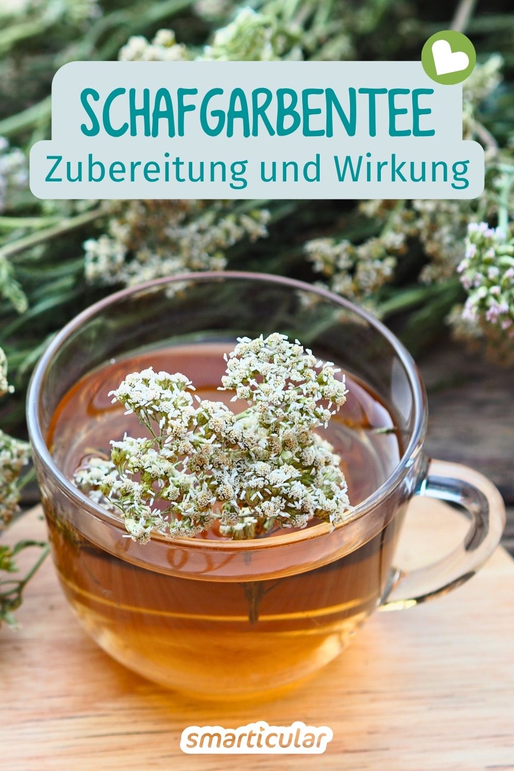hafgarbentee ist ein vielseitiges Naturheilmittel. Erfahre, bei welchen Beschwerden der Heiltee hilft und wie du ihn selbst aufbrühst.
