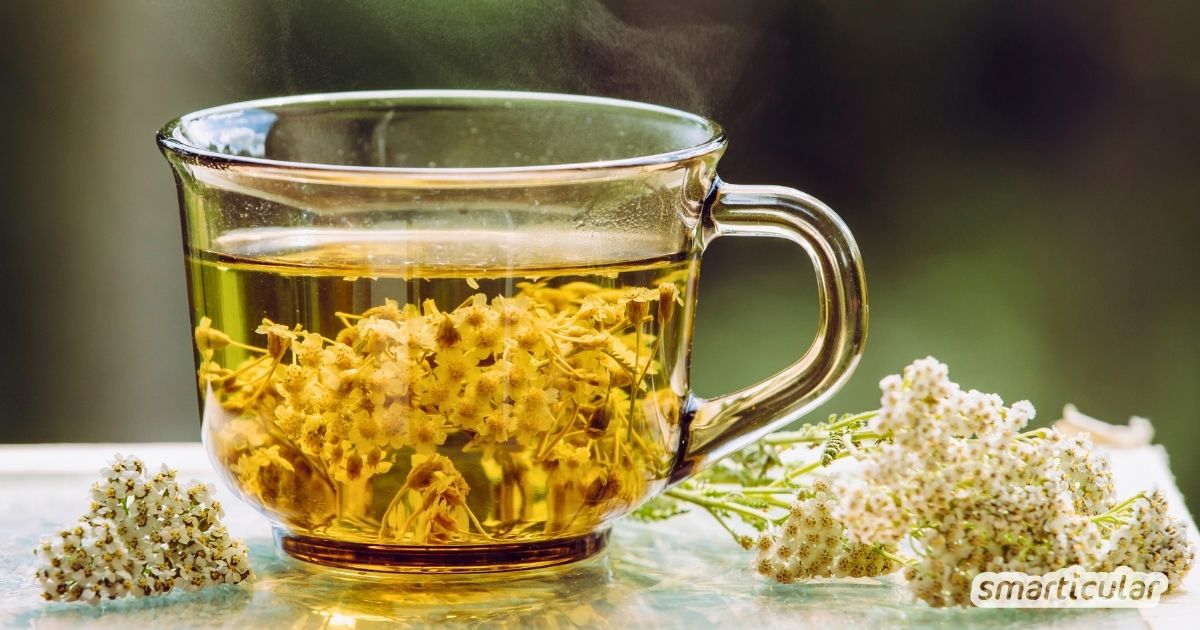 Schafgarbentee ist ein vielseitiges Naturheilmittel. Erfahre, bei welchen Beschwerden der Heiltee hilft und wie du ihn selbst aufbrühst.