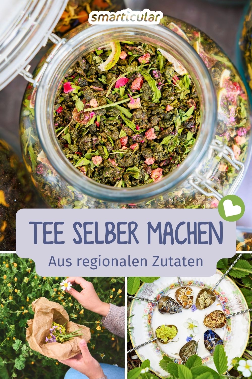 Tee selber machen ist einfach, gesund und spart Geld und Abfall Erfahre, wie das Sammeln, Trocknen und Zubereiten optimal gelingt.