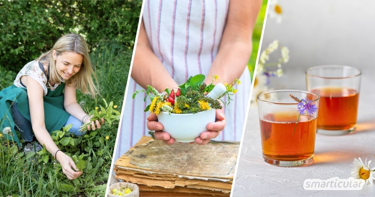 Tee selber machen ist einfach, gesund und spart Geld und Abfall Erfahre, wie das Sammeln, Trocknen und Zubereiten optimal gelingt.
