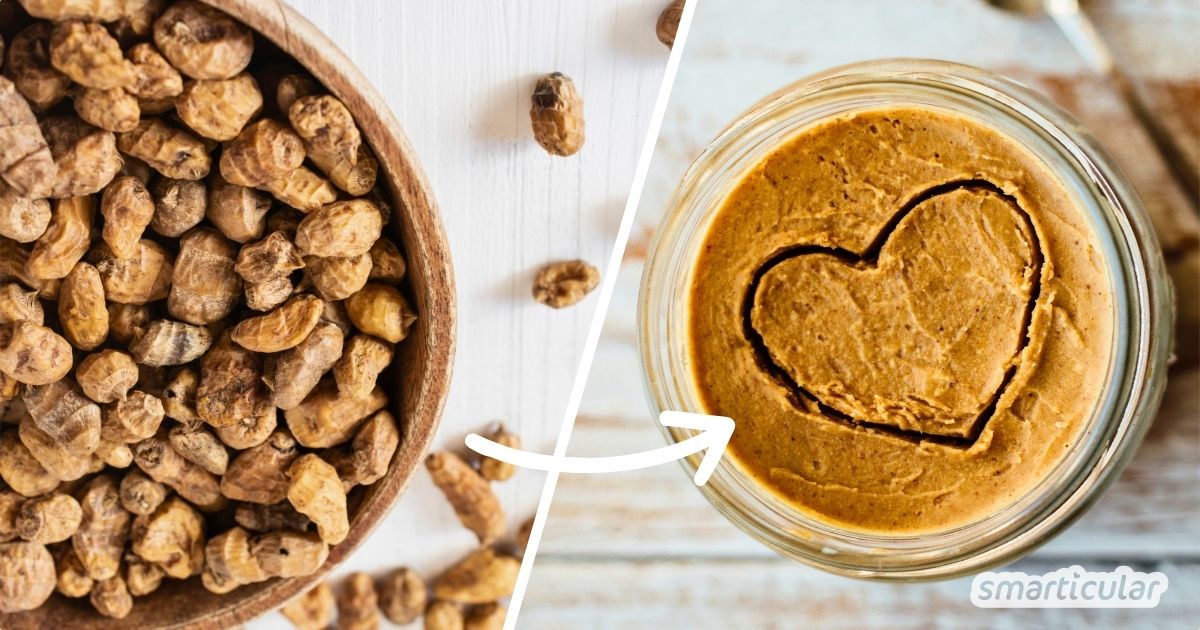 Erdmandelmus ist natürlich süß, nussfrei und ideal bei Allergien. Erfahre, wie sich der gesunde Brotaufstrich einfach selber machen lässt.