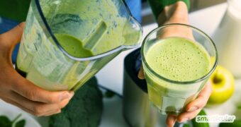 Wie gesund ist ein grüner Smoothie und was gehört hinein? Entdecke wertvolle Tipps für Einsteiger und ein einfaches Grundrezept.