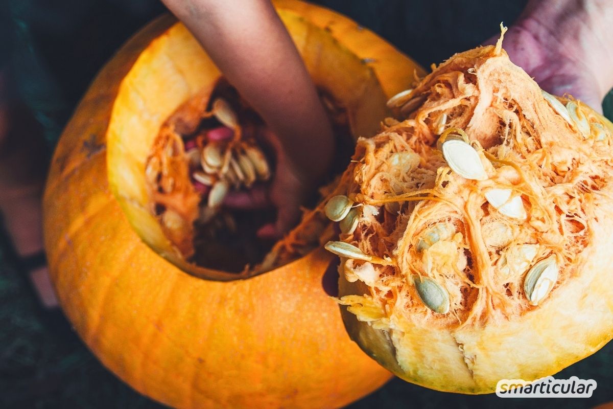 Halloweenkürbis schnitzen leicht gemacht: Mit dieser Anleitung, einem Trick für lange Haltbarkeit und Tipps zur Resteverwertung gelingt es garantiert.