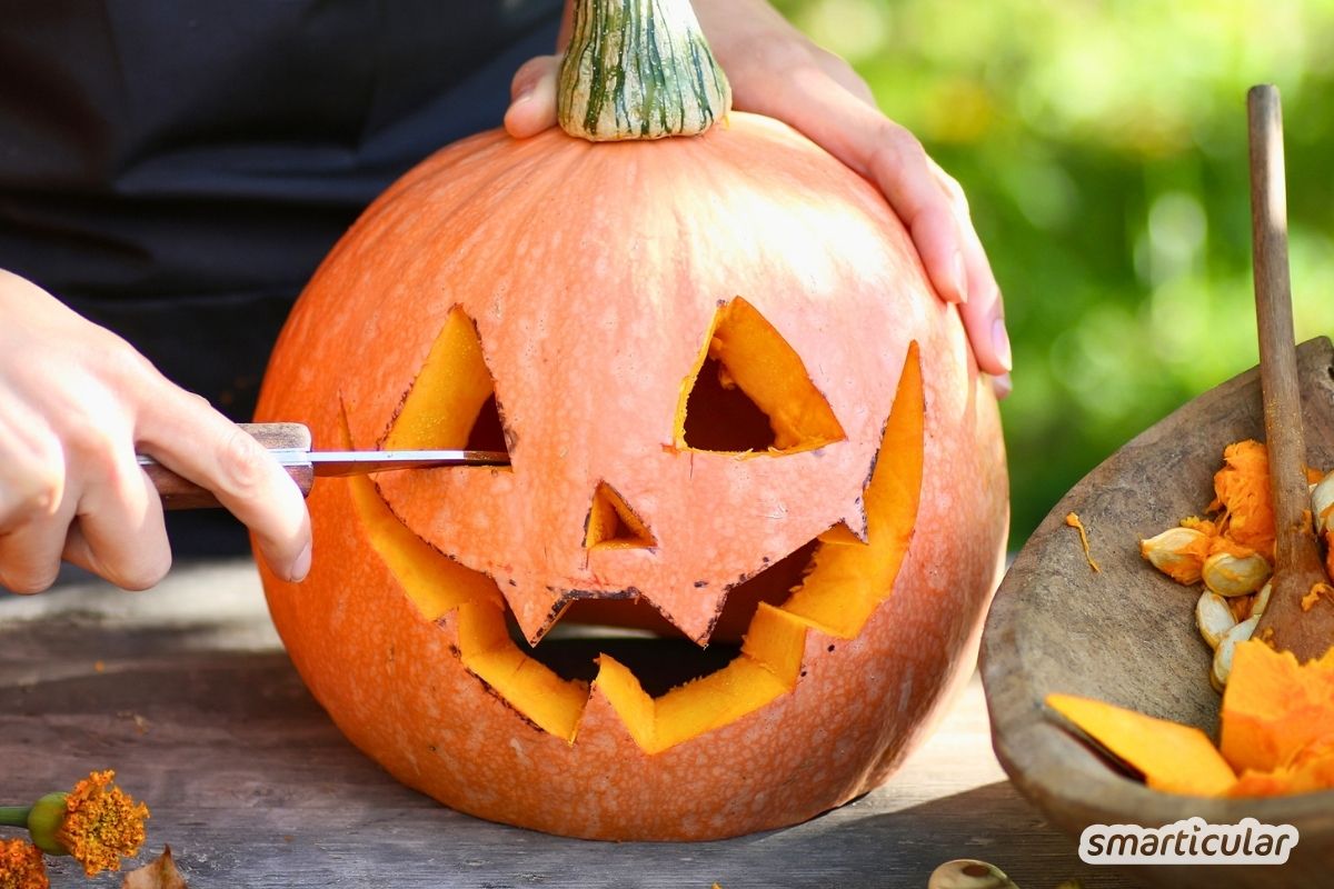 Halloweenkürbis schnitzen leicht gemacht: Mit dieser Anleitung, einem Trick für lange Haltbarkeit und Tipps zur Resteverwertung gelingt es garantiert.