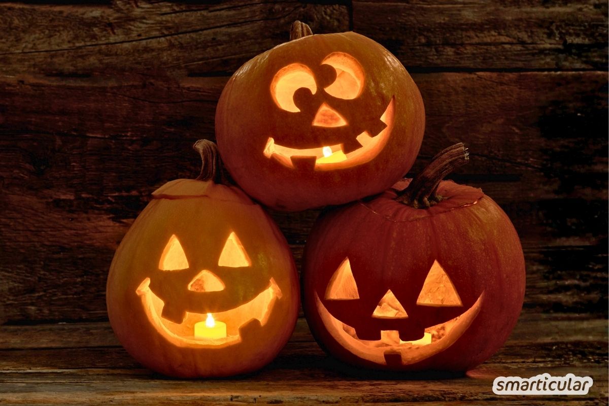 Halloweenkürbis schnitzen leicht gemacht: Mit dieser Anleitung, einem Trick für lange Haltbarkeit und Tipps zur Resteverwertung gelingt es garantiert.