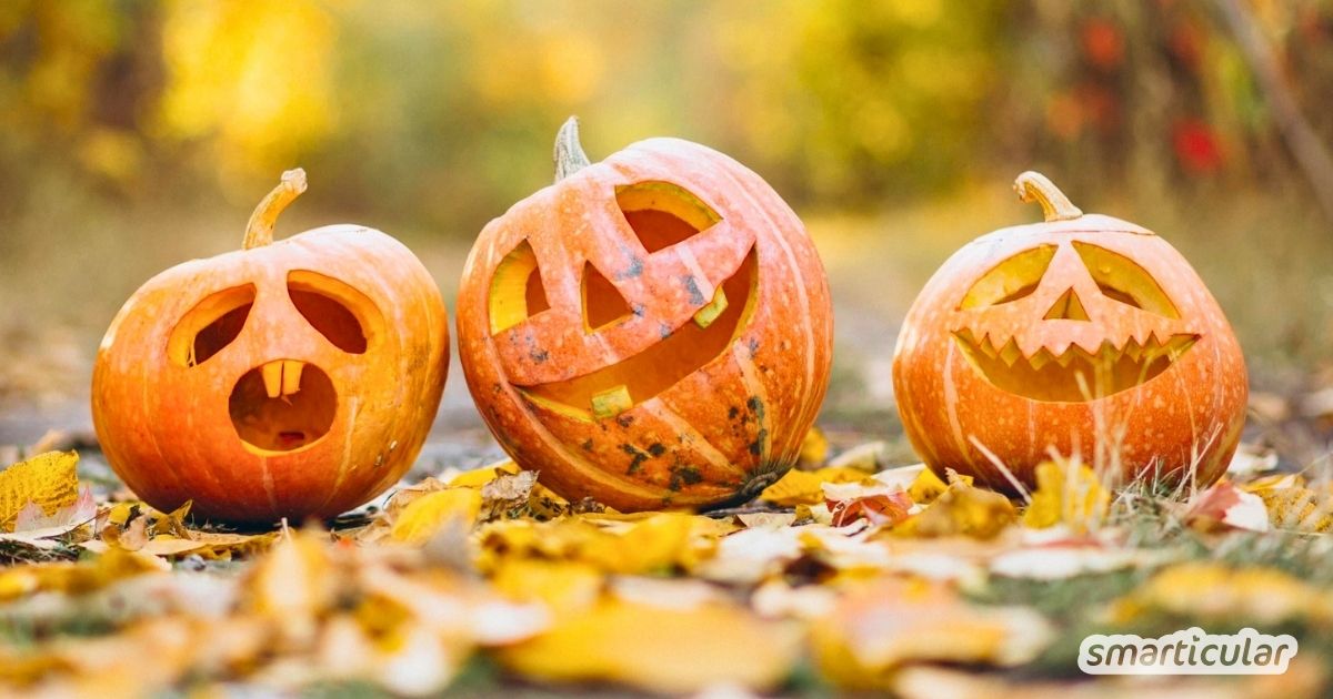 Halloweenkürbis schnitzen leicht gemacht: Mit dieser Anleitung, einem Trick für lange Haltbarkeit und Tipps zur Resteverwertung gelingt es garantiert.