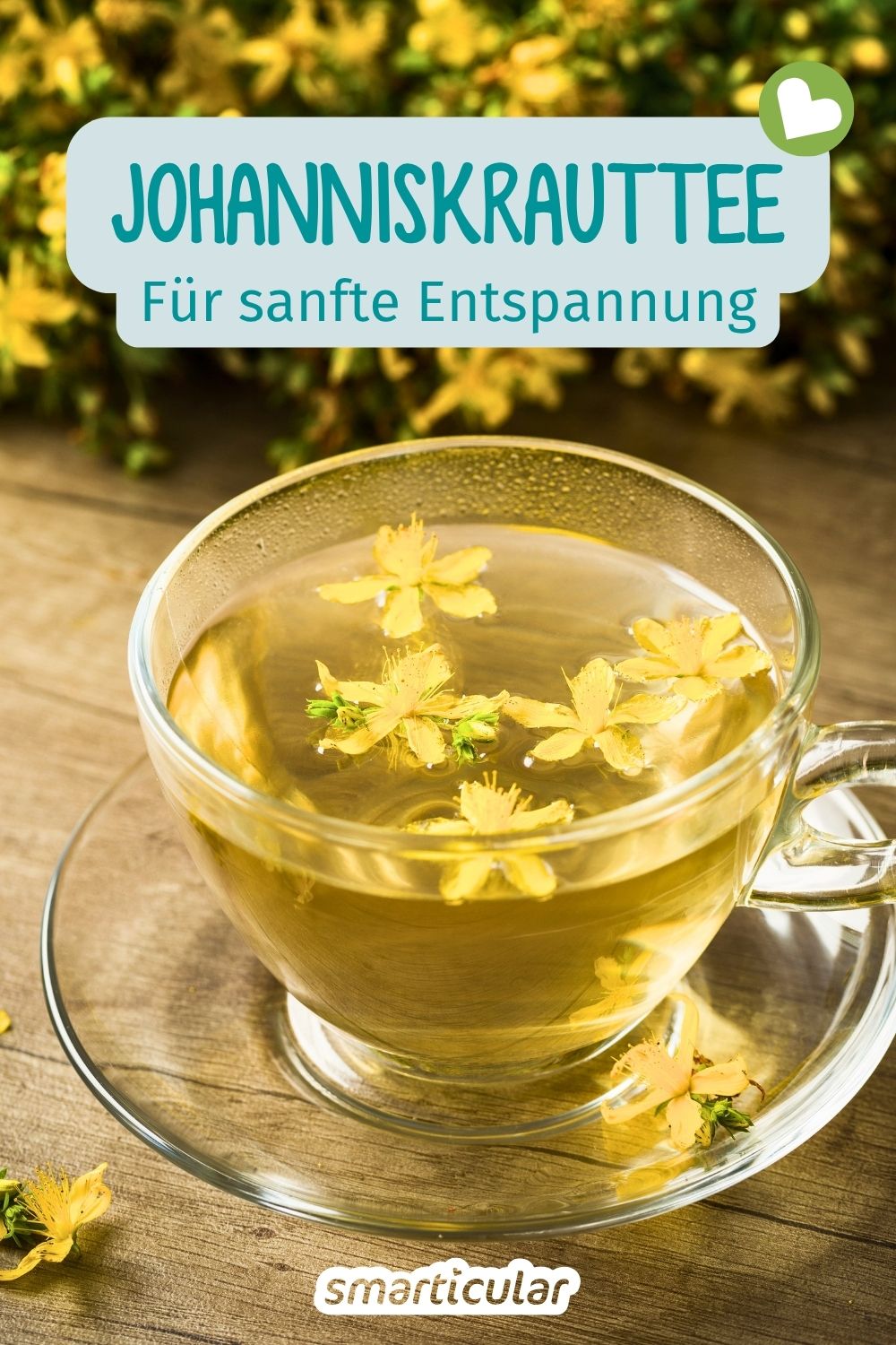 Entdecke die sanfte Wirkung von Johanniskrauttee bei Unruhe. Erfahre alles Wichtige über Zubereitung, Wirkstoffe und Nebenwirkungen.