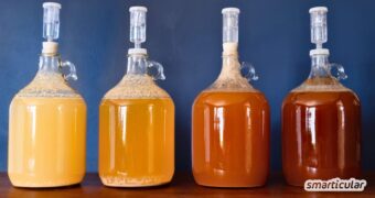 Met selber machen leicht gemacht: Ein unkompliziertes Grundrezept für selbst gebrauten Honigwein - anfängerfreundlich und gelingsicher.
