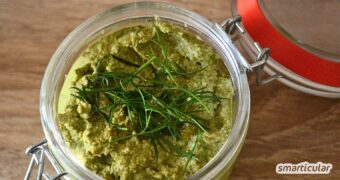 Einen pikanten Senfaufstrich mit Dill selber machen geht blitzschnell. Entdecke das einfache, vegane Rezept mit Sonnenblumenkernen!