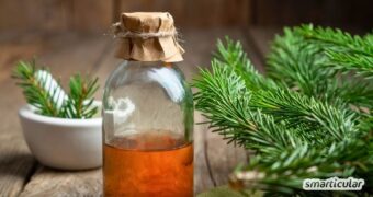 Tannenlikör selber machen: So lässt sich der Bio-Weihnachtsbaum verwerten. Ein einfaches Rezept für würzigen Likör aus Tannennadeln.