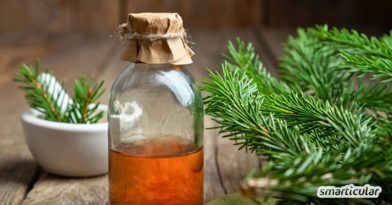 Tannenlikör selber machen: So lässt sich der Bio-Weihnachtsbaum verwerten. Ein einfaches Rezept für würzigen Likör aus Tannennadeln.