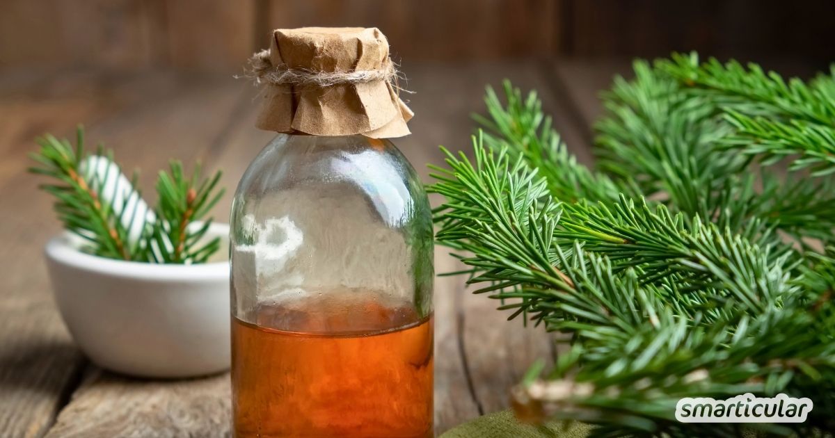Tannenlikör selber machen: So lässt sich der Bio-Weihnachtsbaum verwerten. Ein einfaches Rezept für würzigen Likör aus Tannennadeln.