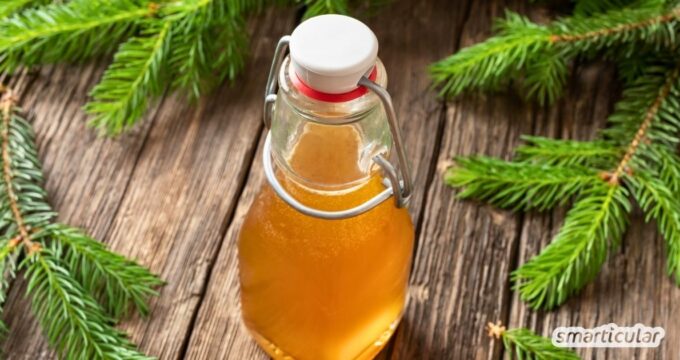 Mach mehr aus deinem Bio-Weihnachtsbaum! Mit diesem einfachen Rezept lässt sich ein aromatischer Tannennadelsirup einkochen.
