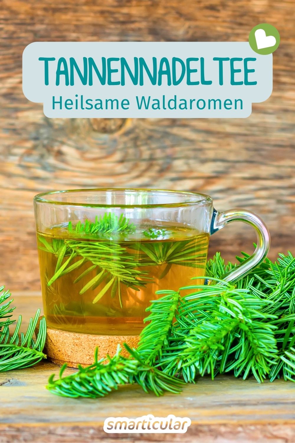 Tannennadeltee selber machen: Alles über die gesundheitliche Wirkung, sichere Ernte und richtige Zubereitung des aromatischen Trunks.